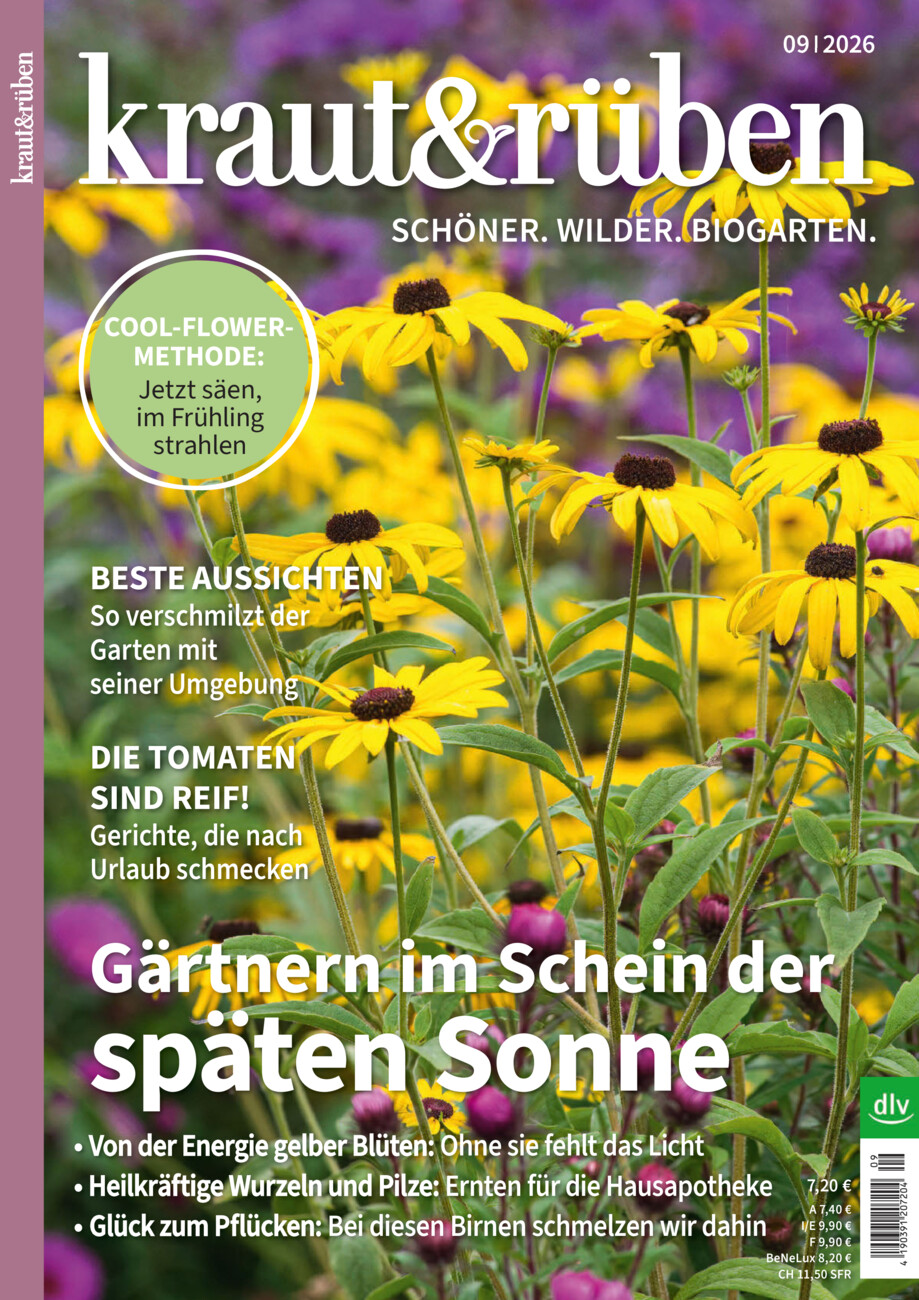 Kraut&Rüben 09-26 vom Donnerstag, 20.08.2026