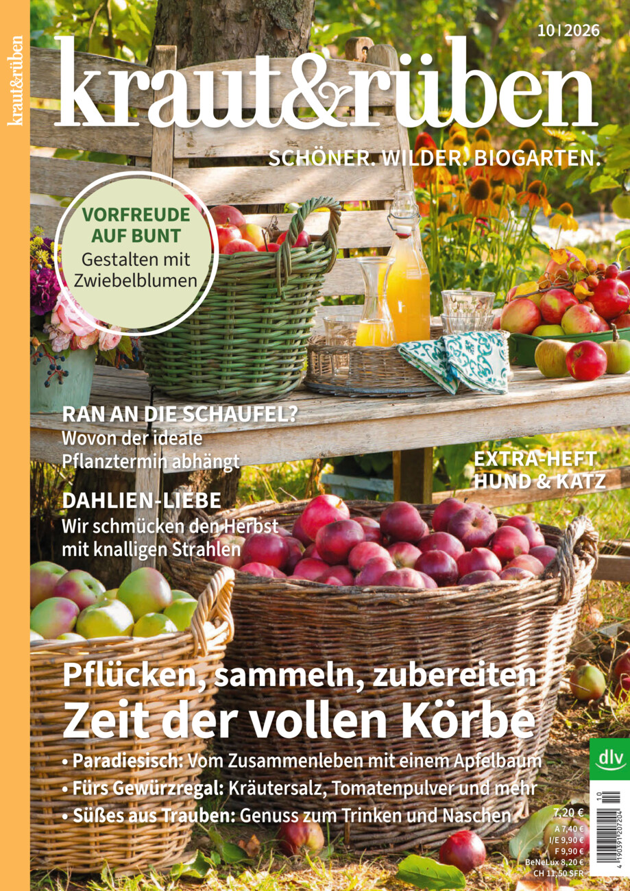 Kraut&Rüben 10-26 vom Mittwoch, 16.09.2026