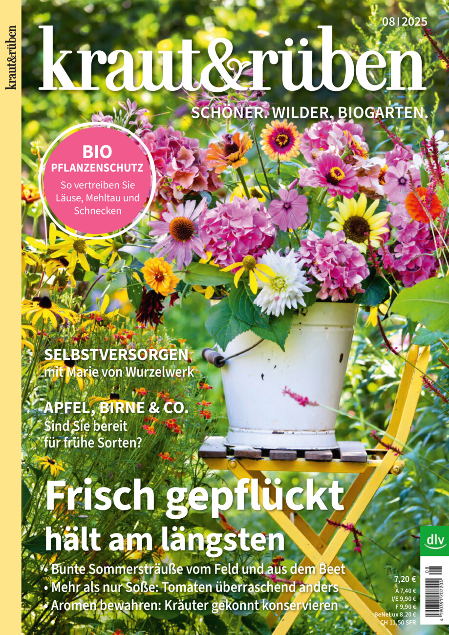 kraut&rüben 08-25 vom Donnerstag, 17.07.2025